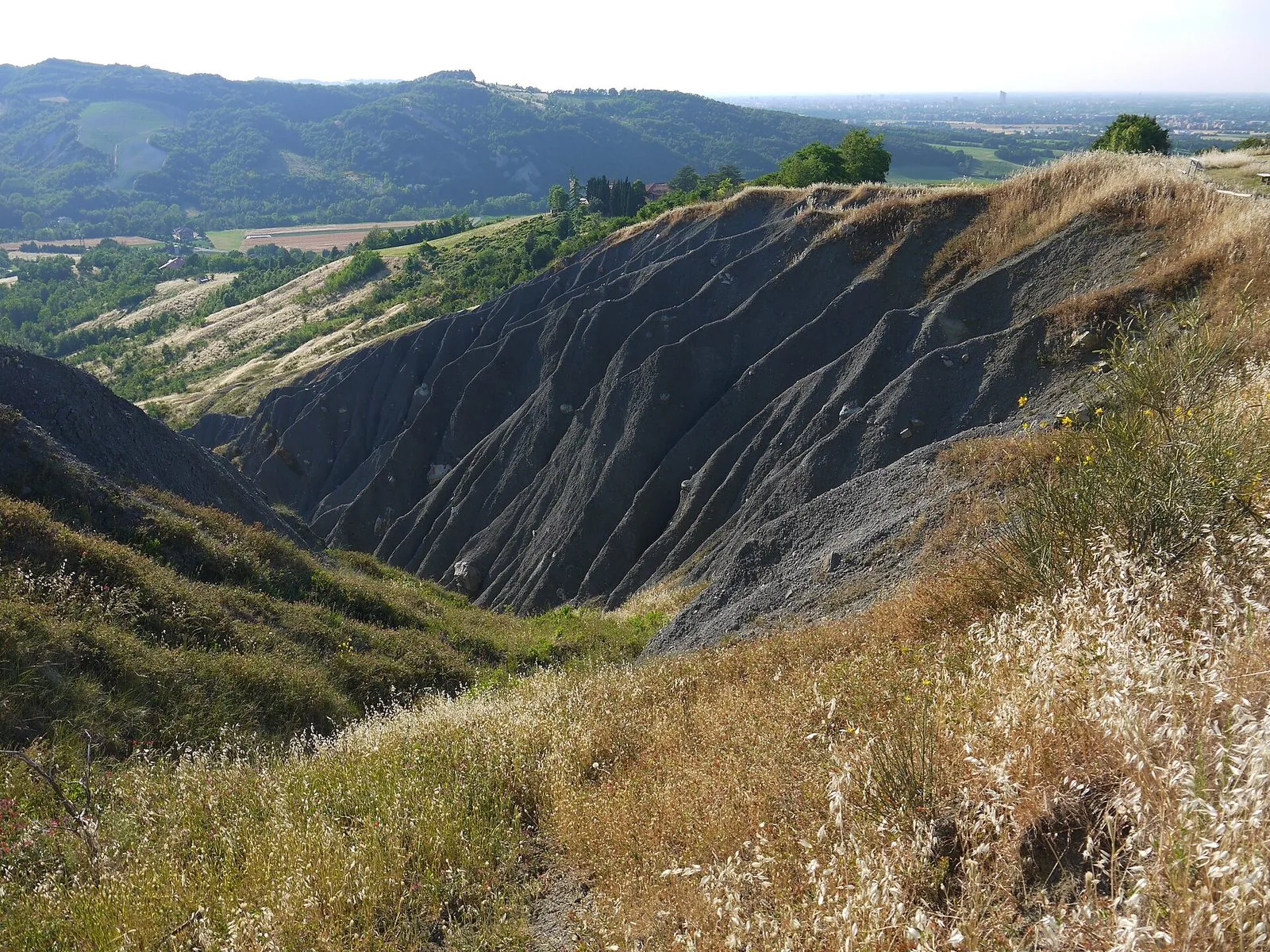 Un calanco grigio scavato dall'erosione nel Parco dei Gessi Bolognesi, tra erba secca e ginestre in fiore, con le colline boscose e la pianura in lontananza